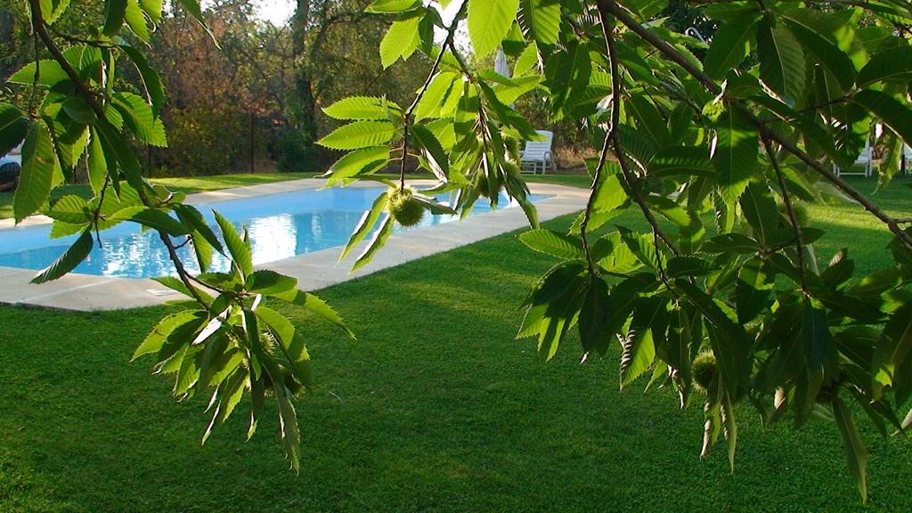 Hotel Apartamento Rural Finca La Media Legua Aracena Exterior photo